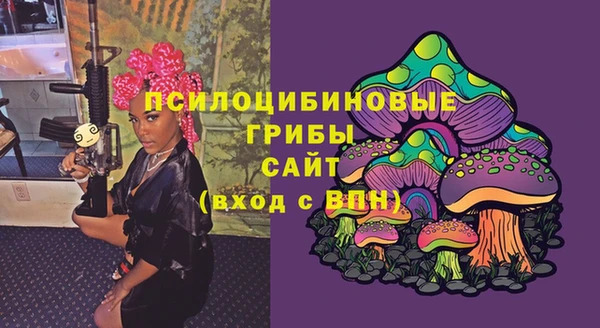 гидра Баксан