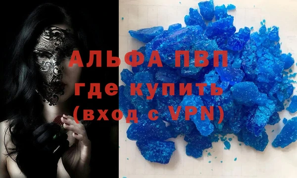 прущие грибы Рославль